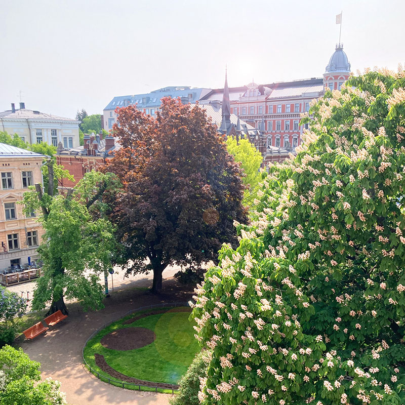 Glorian puisto ja naapurusto